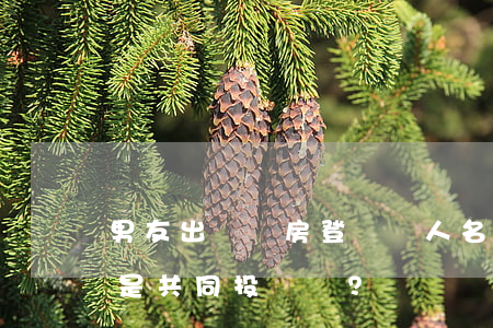男友出資買房登記兩人名下，分手后算“彩禮”還是共同投資？